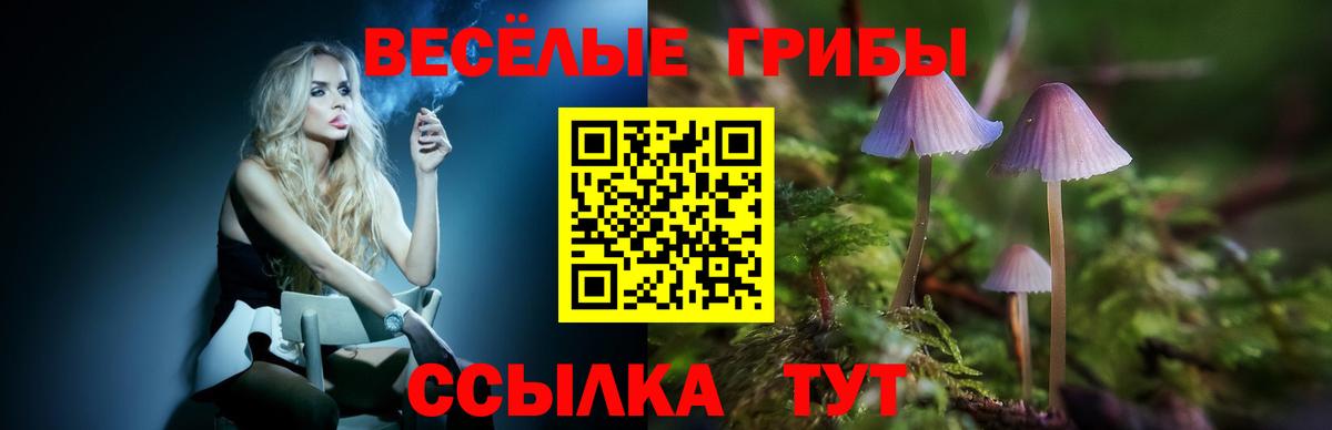 Псилоцибиновые грибы мицелий  продажа наркотиков  Сарапул  Псилоцибиновые грибы Psilocybine cubensis  Вход с VPN 